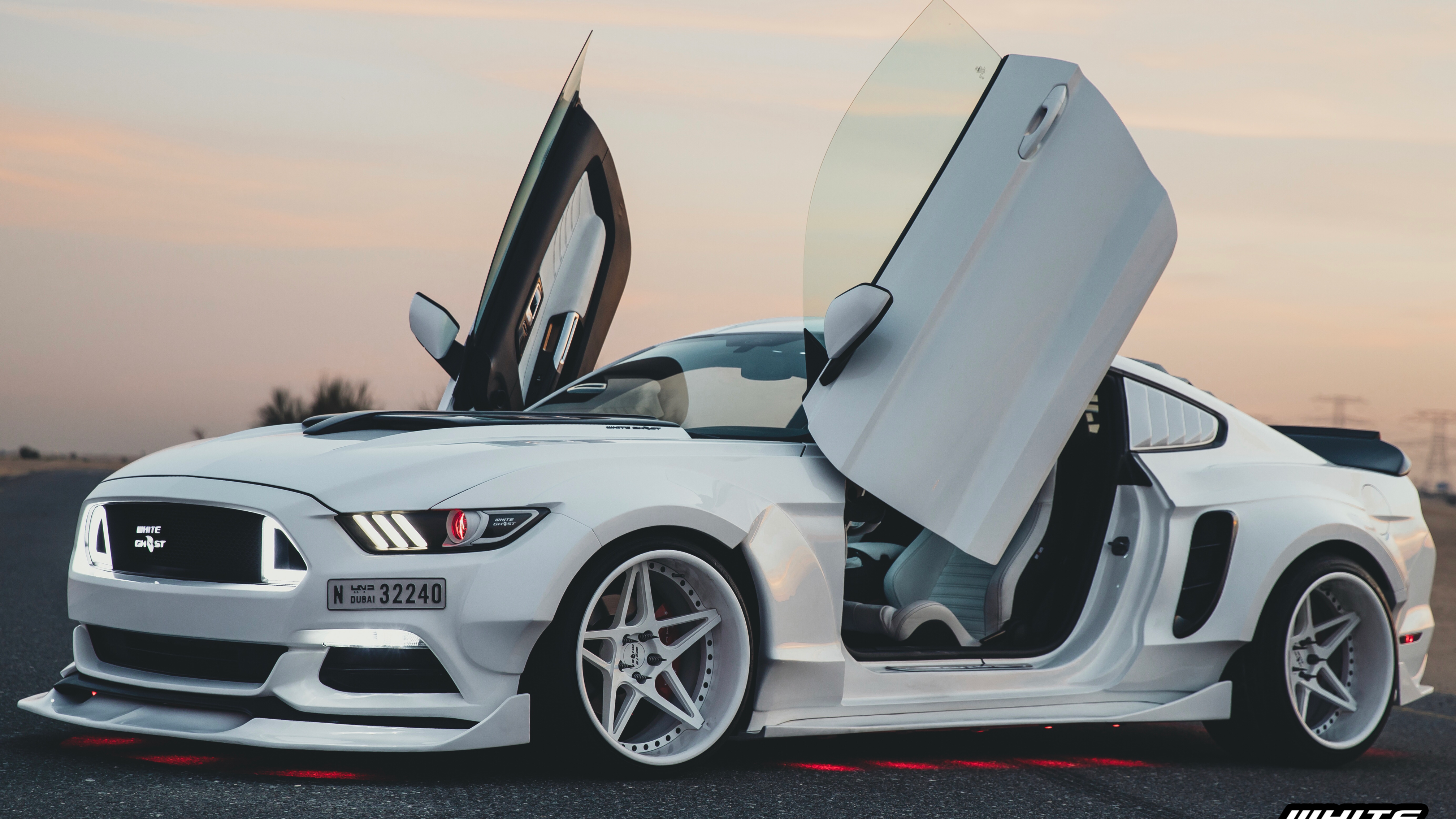 Ford Mustang 2015-2023 Vertical Doors kit lambo doors, vertical doors, door conversion, scissor doors, butterfly doors, wing doors, Ford Mustang 2015-2023 lambo doors, Ford Mustang 2015-2023 vertical doors, Ford Mustang 2015-2023 door conversion, Ford Mustang 2015-2023 scissor doors, Ford Mustang 2015-2023 butterfly doors, Ford Mustang 2015-2023 wing doors,