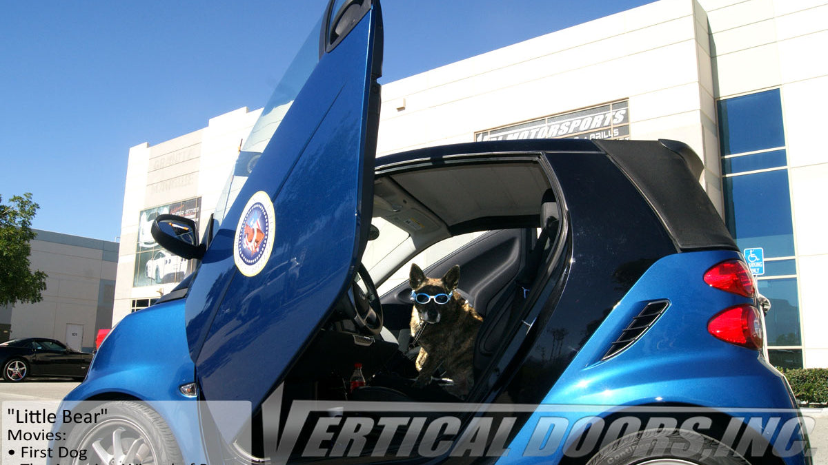 Smart Fortwo 451 2008-2014 Vertical Doors kit lambo doors, vertical doors, door conversion, scissor doors, butterfly doors, wing doors, Smart Fortwo 451 2008-2014 lambo doors, Smart Fortwo 451 2008-2014 vertical doors, Smart Fortwo 451 2008-2014 door conversion, Smart Fortwo 451 2008-2014 scissor doors, Smart Fortwo 451 2008-2014 butterfly doors, Smart Fortwo 451 2008-2014 wing doors,