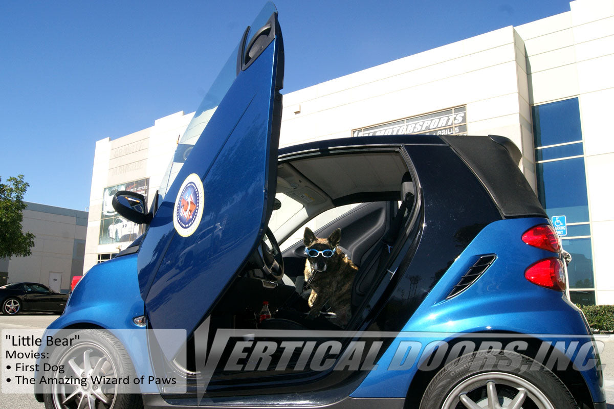 Smart Fortwo 451 2008-2014 Vertical Doors kit lambo doors, vertical doors, door conversion, scissor doors, butterfly doors, wing doors, Smart Fortwo 451 2008-2014 lambo doors, Smart Fortwo 451 2008-2014 vertical doors, Smart Fortwo 451 2008-2014 door conversion, Smart Fortwo 451 2008-2014 scissor doors, Smart Fortwo 451 2008-2014 butterfly doors, Smart Fortwo 451 2008-2014 wing doors,