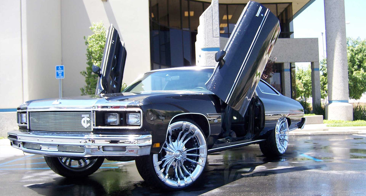 1971-1976 Buick LeSabre confirm 2-door or 4-door body vertical door kit by Vertical Doors, Inc., image 1