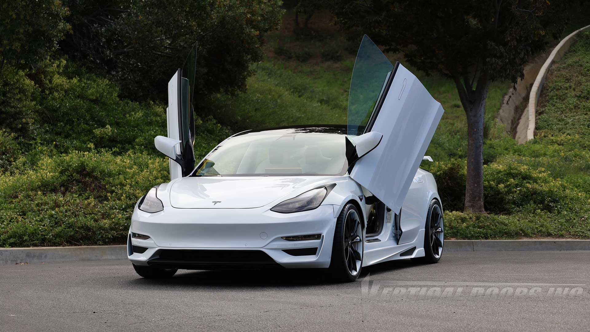 Tesla model 3 gullwing doors discount