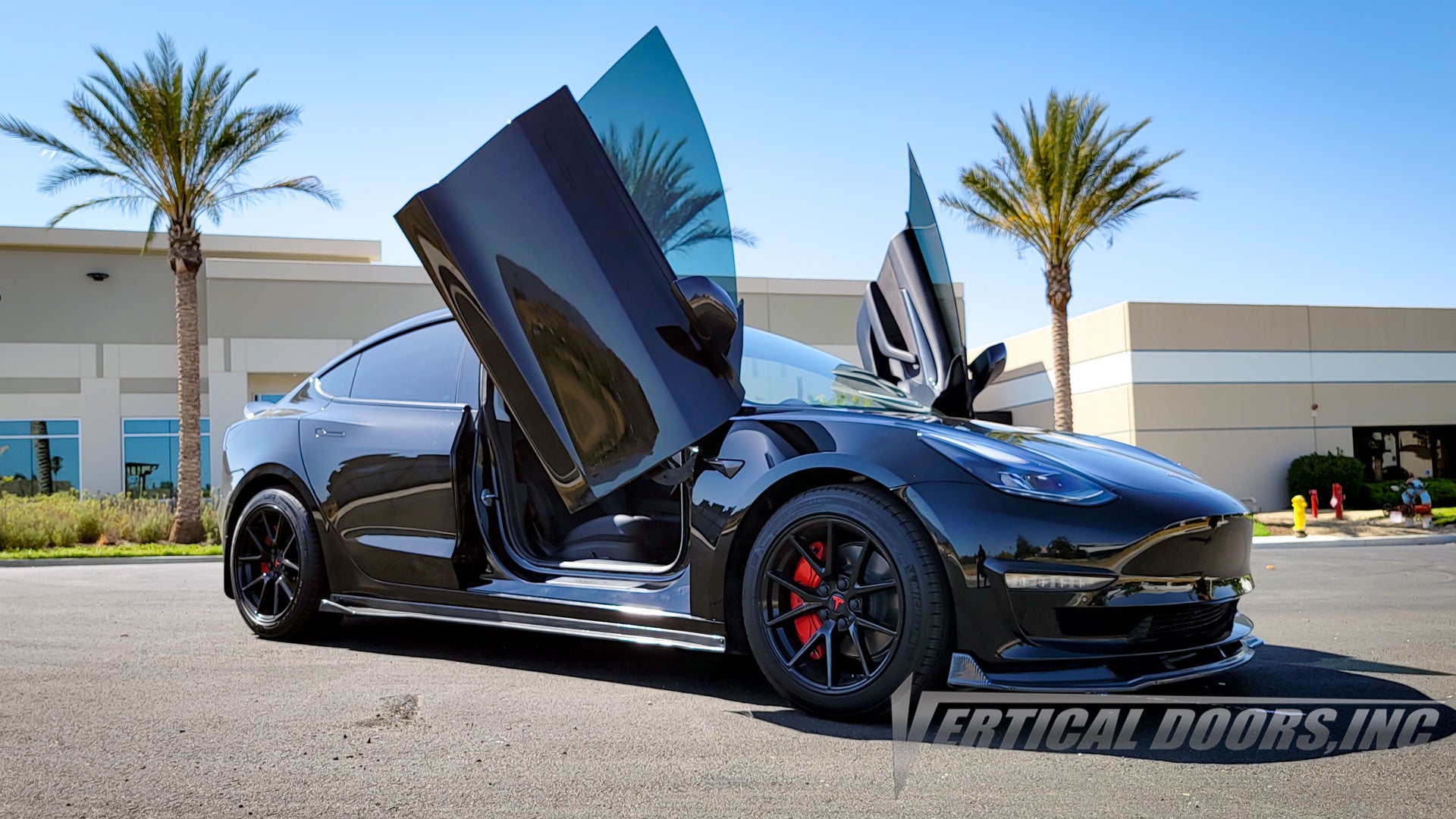 Tesla Model 3 2017-2023 Vertical Doors Kit – Vertical Doors, Inc.